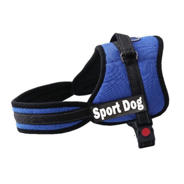ALL-IN-ONE™ NO PULL DOG HARNESS
