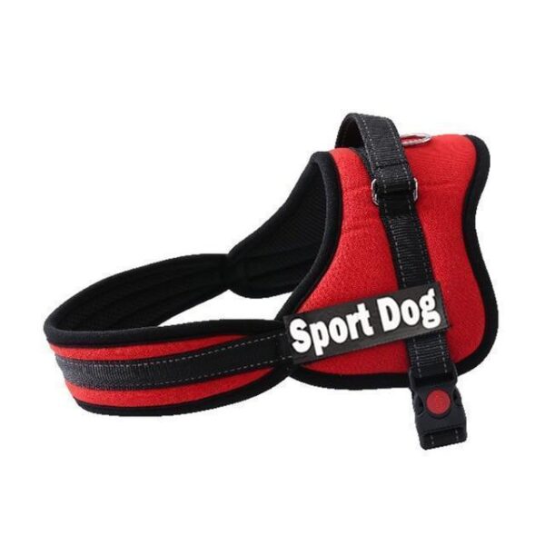ALL-IN-ONE™ NO PULL DOG HARNESS