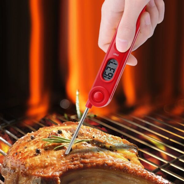 Digital Food Thermometer – Incredibly Convenient & Always Reliable!
